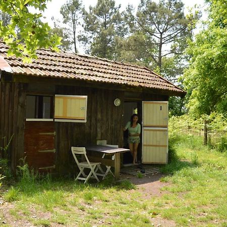 Cabane En Foret Onesse-et-Laharie ภายนอก รูปภาพ
