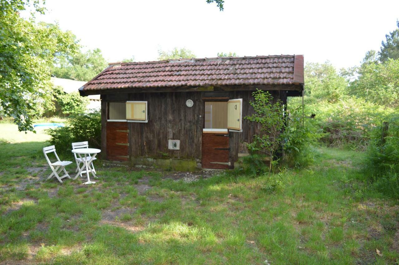 Cabane En Foret Onesse-et-Laharie ภายนอก รูปภาพ