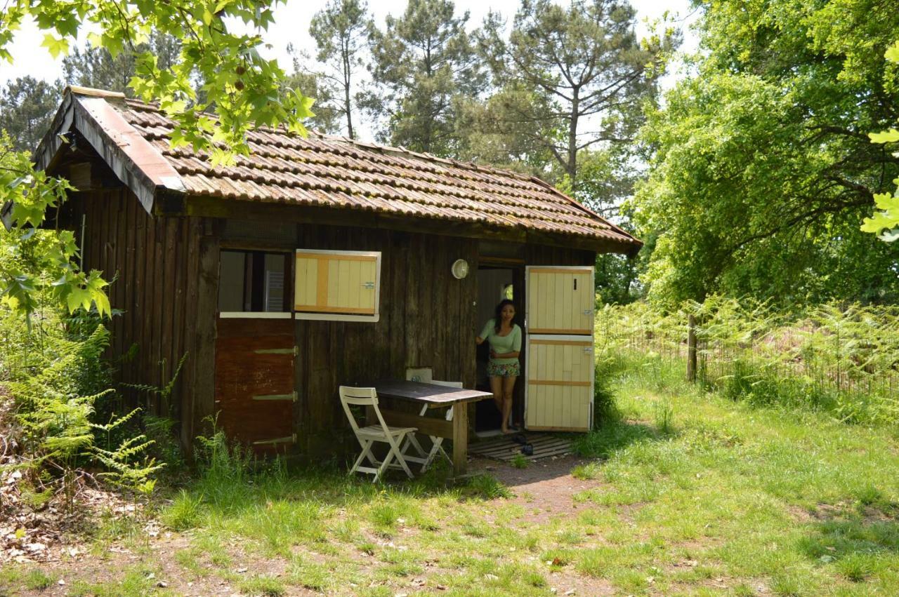 Cabane En Foret Onesse-et-Laharie ภายนอก รูปภาพ