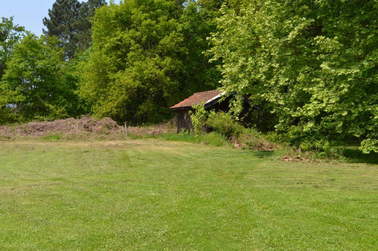 Cabane En Foret Onesse-et-Laharie ภายนอก รูปภาพ