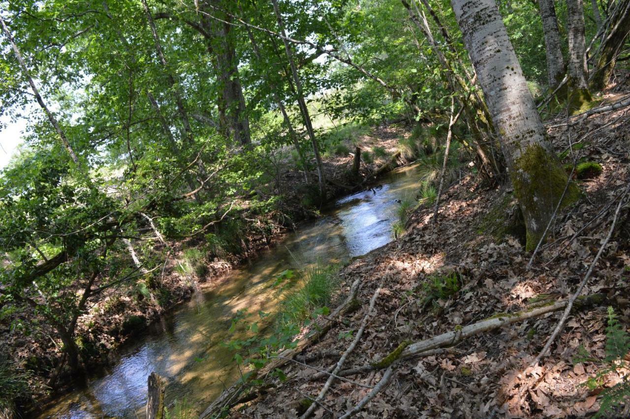 Cabane En Foret Onesse-et-Laharie ภายนอก รูปภาพ