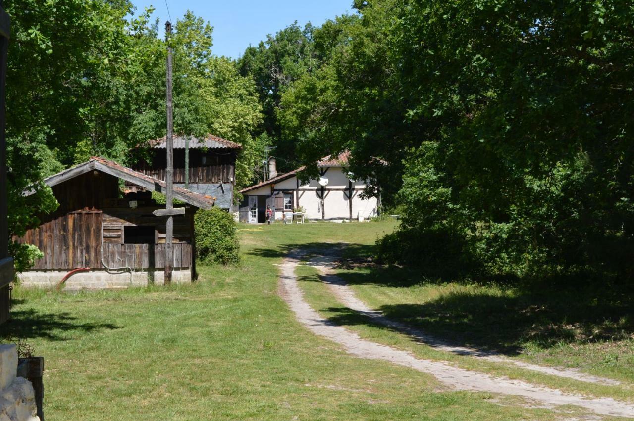 Cabane En Foret Onesse-et-Laharie ภายนอก รูปภาพ