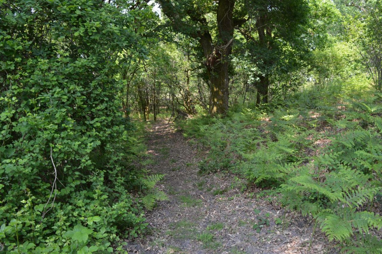Cabane En Foret Onesse-et-Laharie ภายนอก รูปภาพ